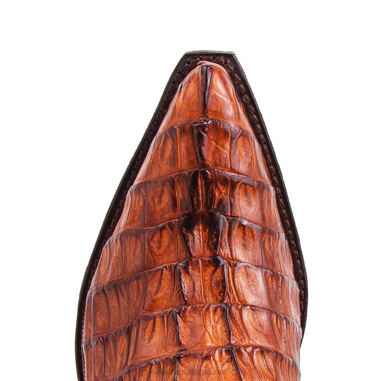 0204Z185 10004 cuervo cola cresta amendoim Sendra homens