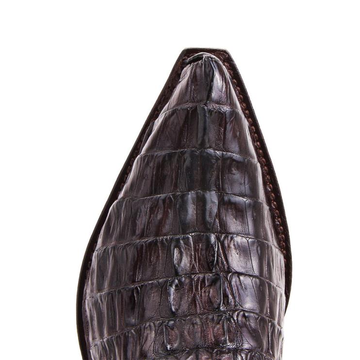 0204Z201 10004 cuervo cola cresta marron Sendra homens