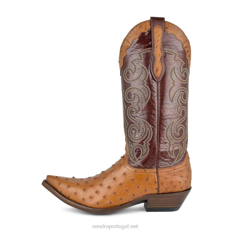 0204Z202 conhaque texas avestruz Sendra homens