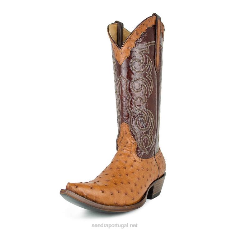 0204Z202 conhaque texas avestruz Sendra homens